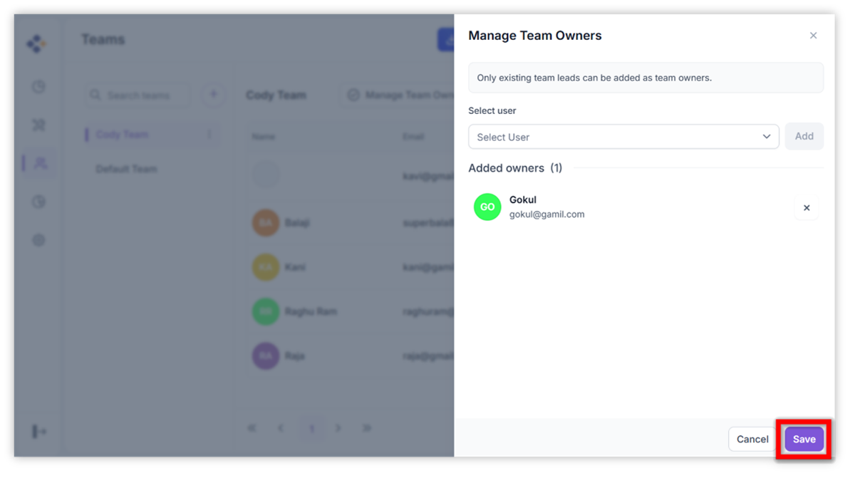Team owner management settings